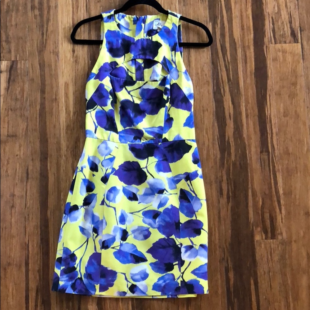 Milly Floral Dress
